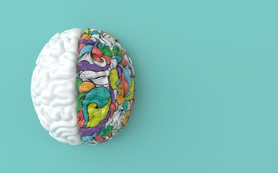 The Brain Processes Print Marketing Differently Than Digital